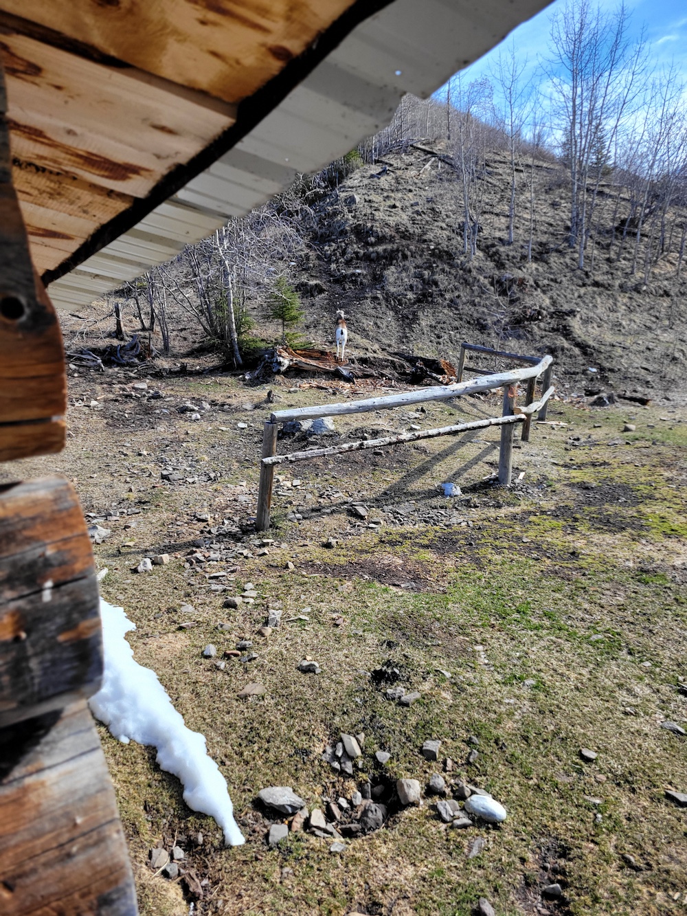 01) Beattie Lake Cabin - Image 8